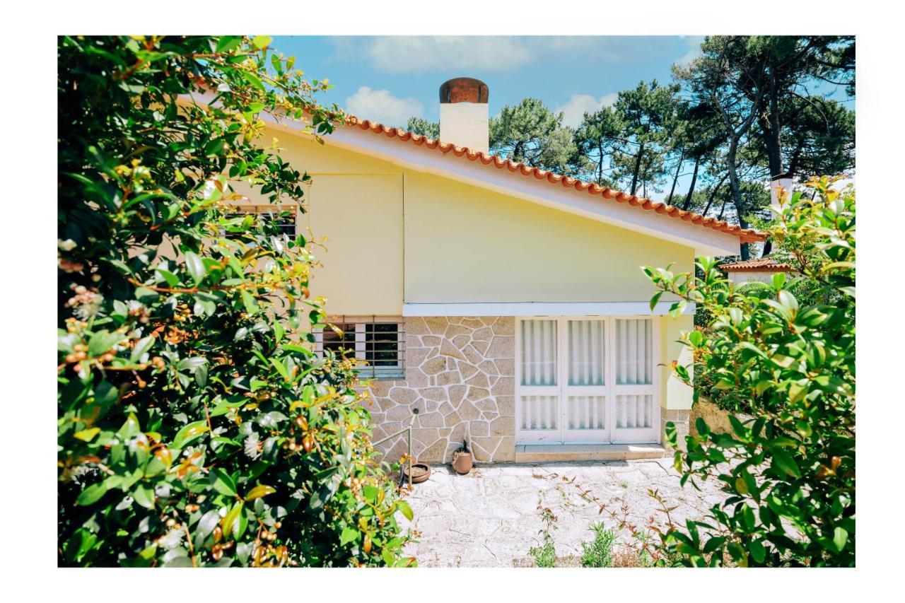 Regina Surf Houses - Cabedelo Beach Viana do Castelo Eksteriør bilde